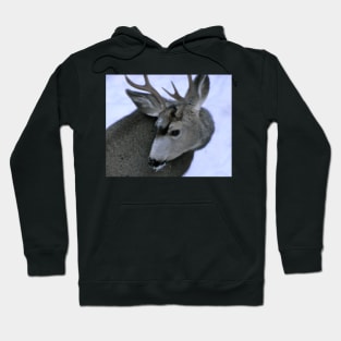 Oh Deer! Hoodie